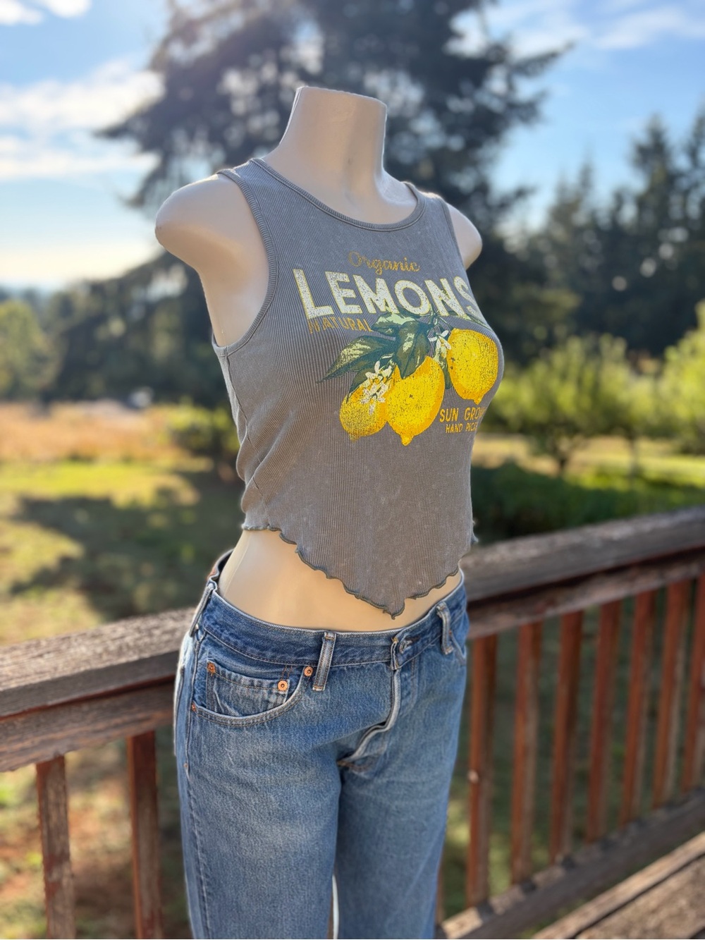 Stitch & Pine Gray Lemon Washed Cropped Tank Top Women’s Size M Tropical Beachy